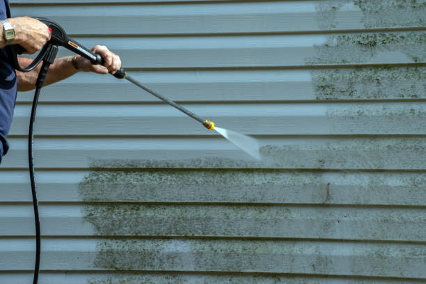 Best Driveway Pressure Washing  in Franklinville, NC